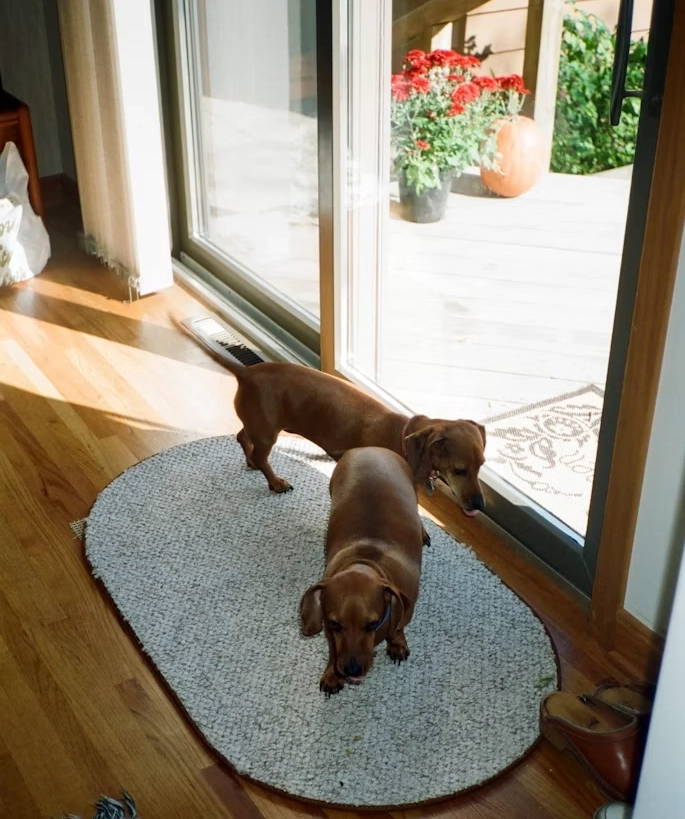 Drymate Dog Crate Mat Liner